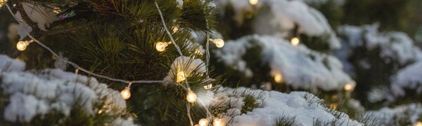 Мощный снежный циклон со штормовым ветром накроет Приморье 15 — 16 января (ТРАЕКТОРИЯ)