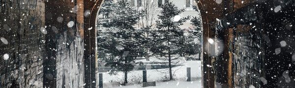 Во вторник во Владивостоке потеплеет до 0°C. Всё о погоде в начале февраля на Примпогоде