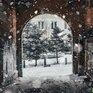 После прохождения циклона на выходных в Приморье похолодает
