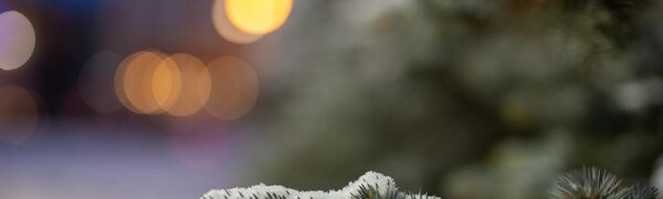 В четверг на севере Приморья выпало до 2 мм снега