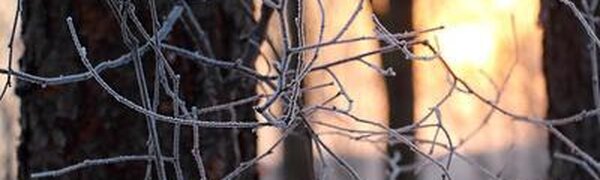 В Приморье наблюдается неравномерное распределение снега