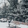 Снег в южной половине Приморья ожидается во вторник