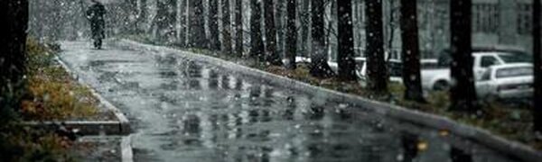 Дождь, переходящий в снег: погода в Приморье удивит в начале следующей недели