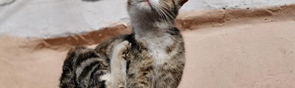 Дневные температуры в Приморье уверенно идут на повышение