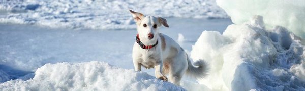 В пятницу снег в Приморье прекратится и вновь похолодает