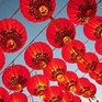 145-метровый мост соединит Приморье и Китай