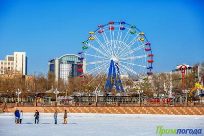 Чем дышал Владивосток с 21 по 28 февраля?