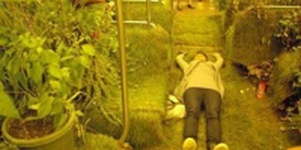Зеленый вагон в Чикагском метро