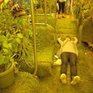 Зеленый вагон в Чикагском метро