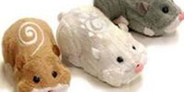  Новогодний хит США — хомяк-робот