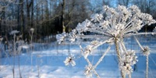 Завтрашний день во Владивостоке будет самым холодным за неделю