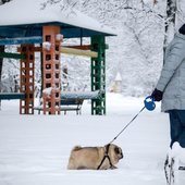 В Москве прошёл рекордный снегопад