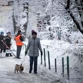 В Москве прошёл рекордный снегопад