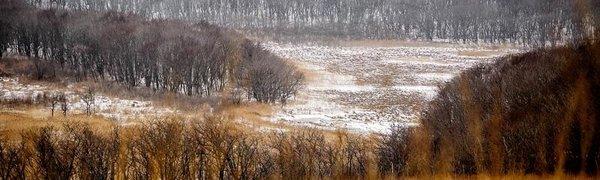 Холода в Приморье пришли вместе со штормовым ветром