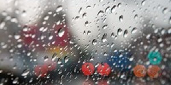 На большей части Приморья прошли сильные дожди