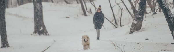 И снова небольшой снег в Приморье: всё о погоде на выходных на Примпогоде
