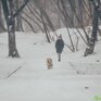 И снова небольшой снег в Приморье: всё о погоде на выходных на Примпогоде