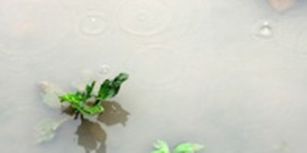 Сильные дожди прошли на юге Приморья