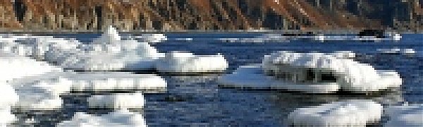 Каким был январь в Сихотэ-Алинском заповеднике (ФОТО)