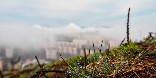 В четверг во Владивостоке снова морось и туман