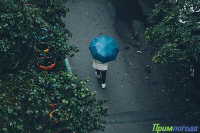 Завтра в Приморье начнутся дожди, не исключены грозы
