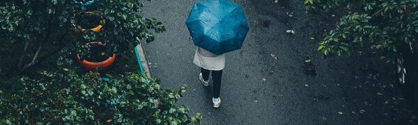Завтра в Приморье начнутся дожди, не исключены грозы