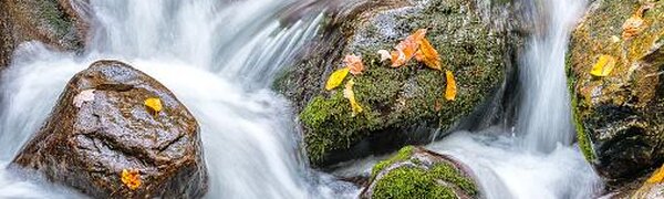 В Приморье сохраняется период повышенной водности рек