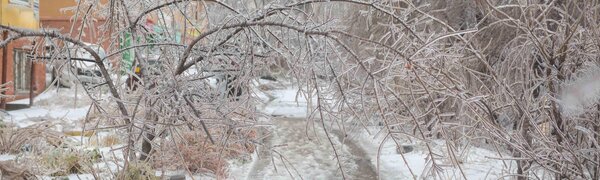 Синоптики озвучили прогноз погоды на последнюю неделю ноября в Приморье