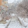 Синоптики озвучили прогноз погоды на последнюю неделю ноября в Приморье