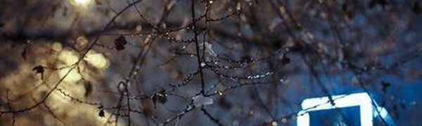 Прошедшая ночь стала самой холодной во Владивостоке и Приморье с начала осени