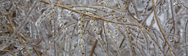 Синоптики спрогнозировали похолодание в Приморье на этой неделе