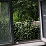 Очередное «непогодное» утро опустилось на Владивосток  (ФОТО)