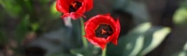 Весна словно летом: Приморская теплота