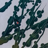 Фото утреннего тумана в Италии стало лучшим погодным снимком года