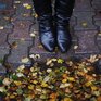 Небольшие и умеренные дожди пройдут в Приморье в середине следующей недели