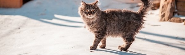 В ближайшие дни рождественские морозы в Приморье ослабеют