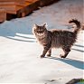 В ближайшие дни рождественские морозы в Приморье ослабеют