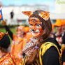 День тигра во Владивостоке будут праздновать 2 дня (ПРОГРАММА)