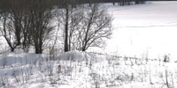 После каникул в Приморье вернулись морозы