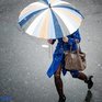 На следующей неделе Приморье вновь окажется во власти непогоды