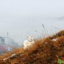 1 марта во Владивостоке будет тепло, возможны небольшие осадки