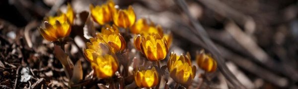 Каким будет март в Приморье