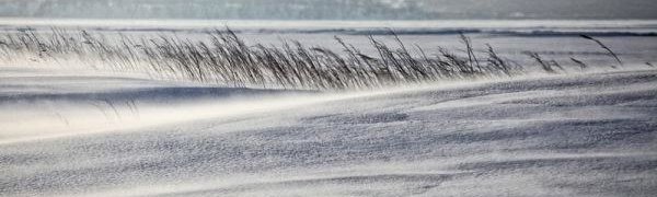 К середине декабря снег отмечается только на севере Приморья