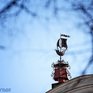 Температура воздуха в Приморье продолжит меняться