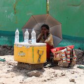 Небывалая жара в Индии и Пакистане грозит неурожаем