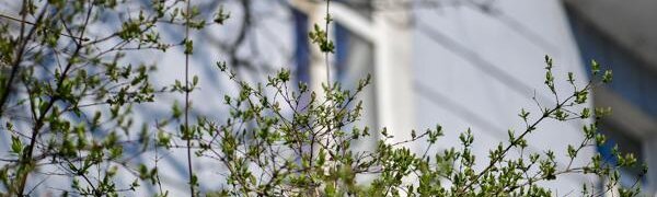 Дождливую субботу сменит теплое воскресенье: вcё о погоде в Приморье на выходных