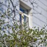 Дождливую субботу сменит теплое воскресенье: вcё о погоде в Приморье на выходных