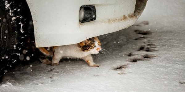 Снег и гололедица ожидаются в Приморье в пятницу, 28 октября
