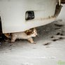 Снег и гололедица ожидаются в Приморье в пятницу, 28 октября