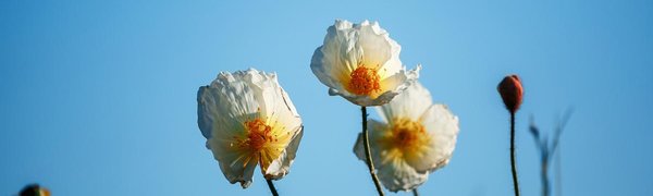 Солнечно и тепло будет в Приморье в пятницу